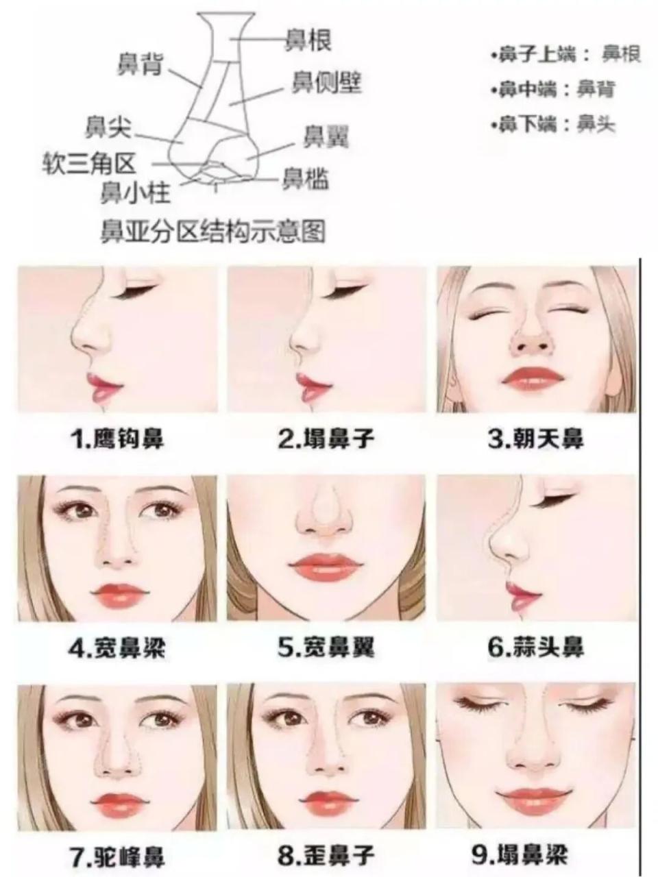 什么样的鼻子好看?亚洲人隆鼻的标准?插图 图片